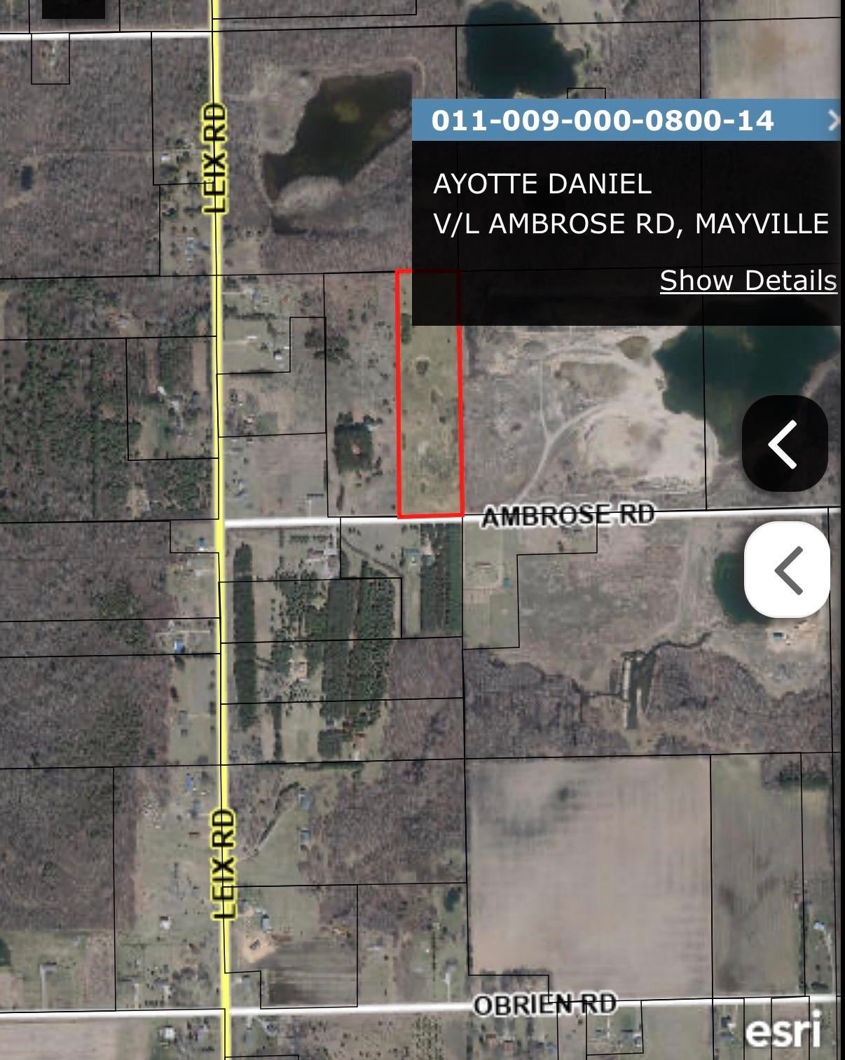 V/l Ambrose Road Mayville, MI 48744 - Photo 11 of 11 Gallery Image 11