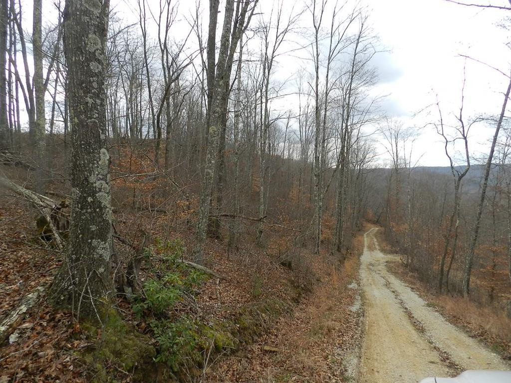 999 Burton Road Brodhead, KY 40409 - Photo 1 of 3 Photo 1