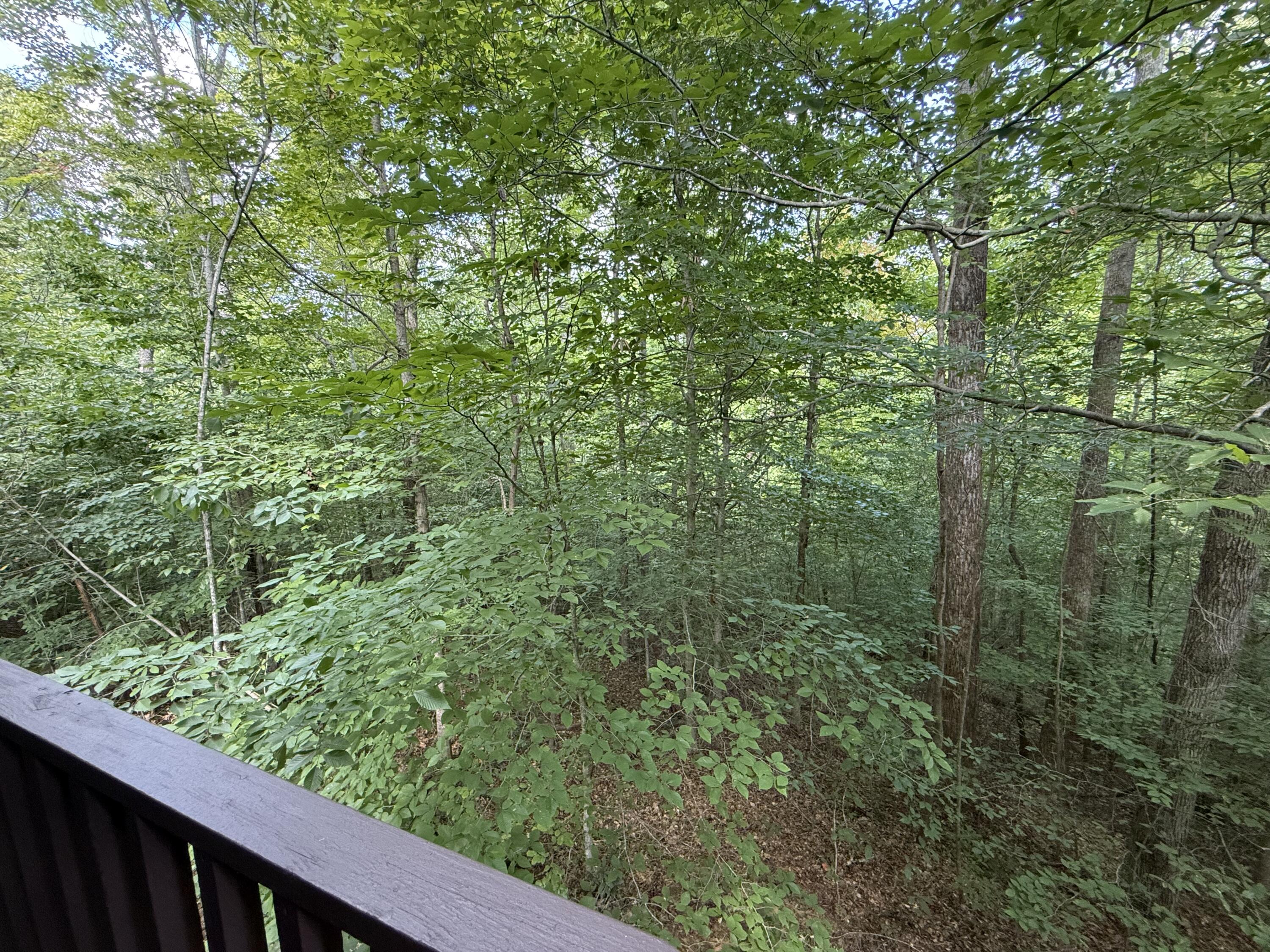 145 State Park Road, Unit B1 Jamestown, KY 42629 - Photo 22 of 59 IMG_2082