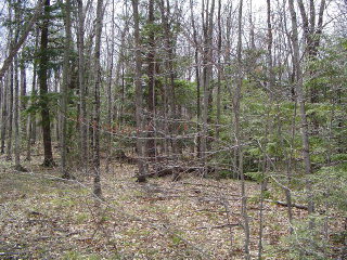 0 Mink River Road Ellison Bay, WI 54210 - Photo 1 of 1 Main View