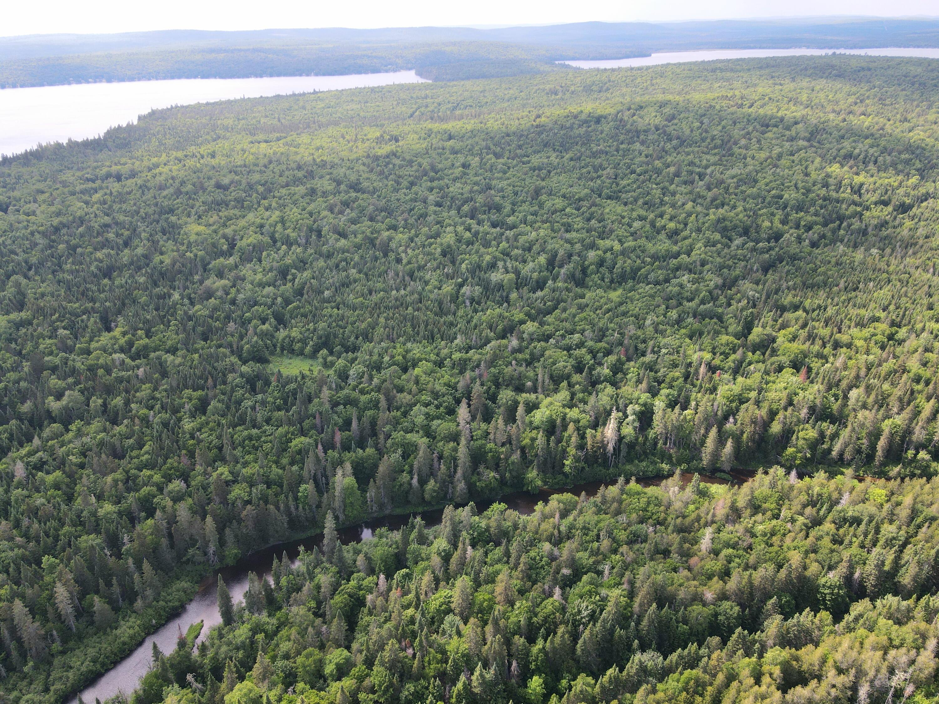 dji_fly_20240613_154746_945_171831286821