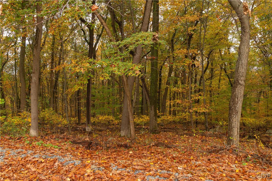 2001 Stonesthrow Road Bethlehem, PA 18015 - Photo 36 of 37 Gallery Image 36