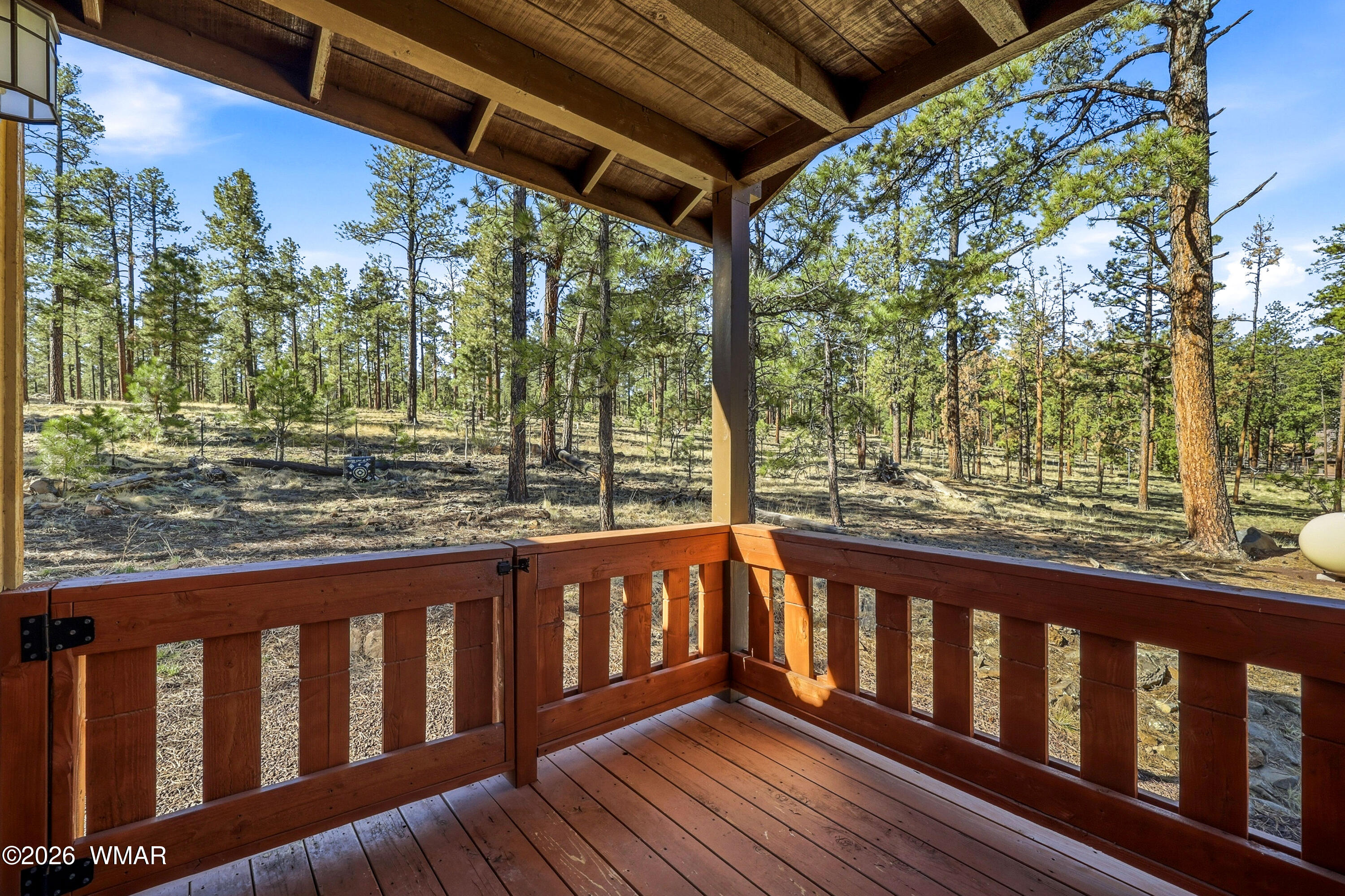 3 N1058 Greer, AZ 85927 - Photo 20 of 22