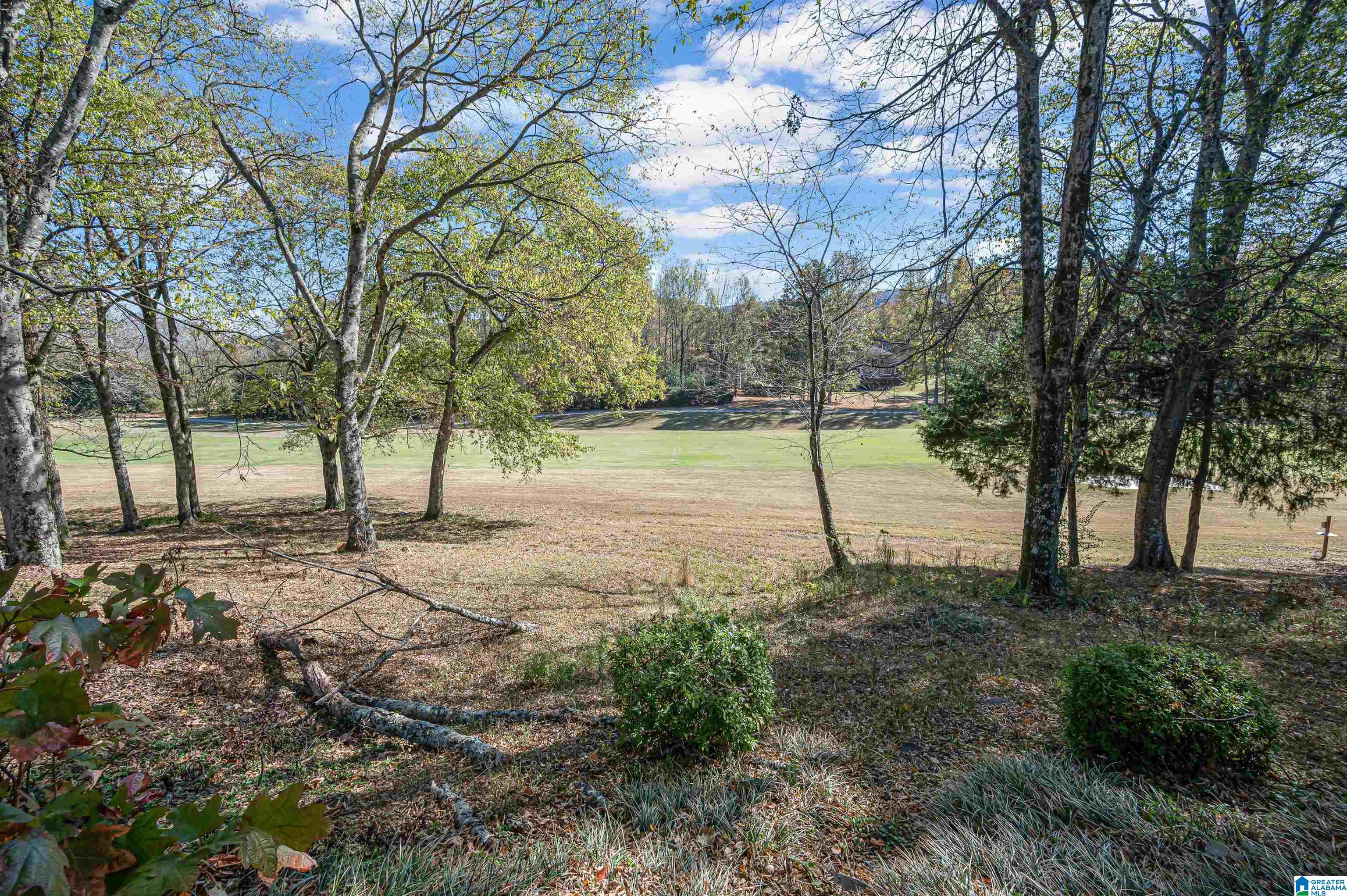 1104 Berwick Road Birmingham, AL 35242 - Photo 39 of 41