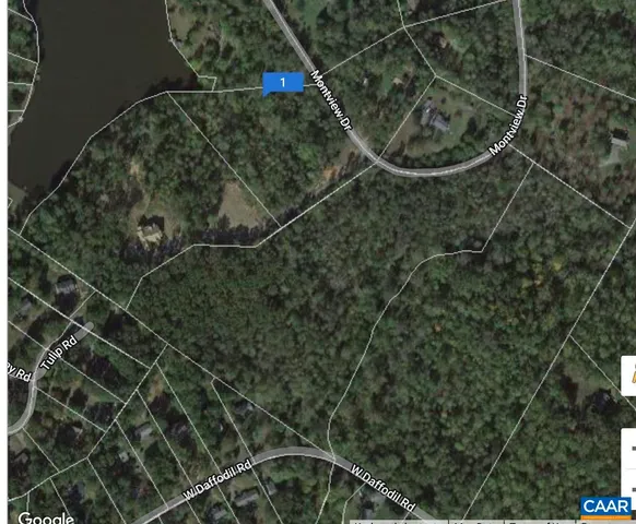 an aerial view of a yard