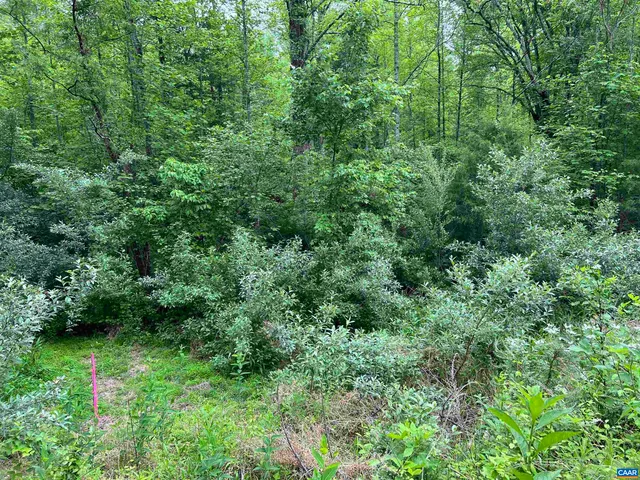 $300,000 | Lot B Lot B And C Montview Drive, Ruckersville, VA 22968