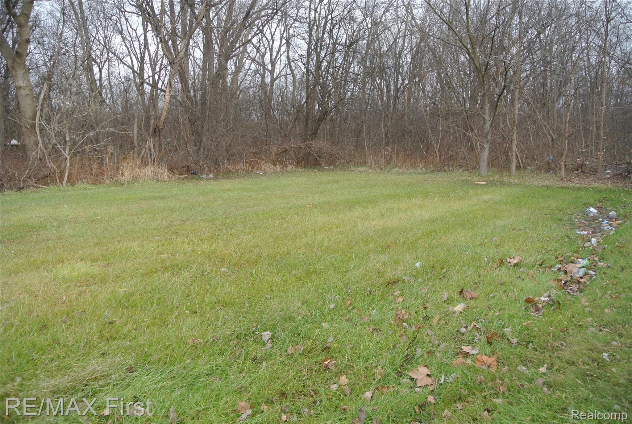 6955 Merriman Road Romulus, MI 48174 - Photo 8 of 23 DSC_1515.JPG