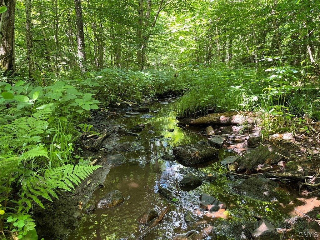 East Town Line Road Lorraine, NY 13659 - Photo 1 of 34 Gallery Image 1