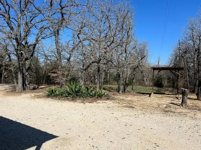 a view of a backyard with large trees