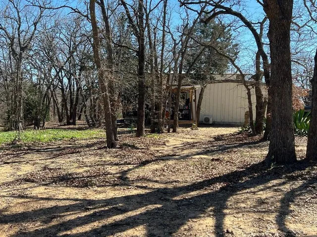 a view of a yard with large trees