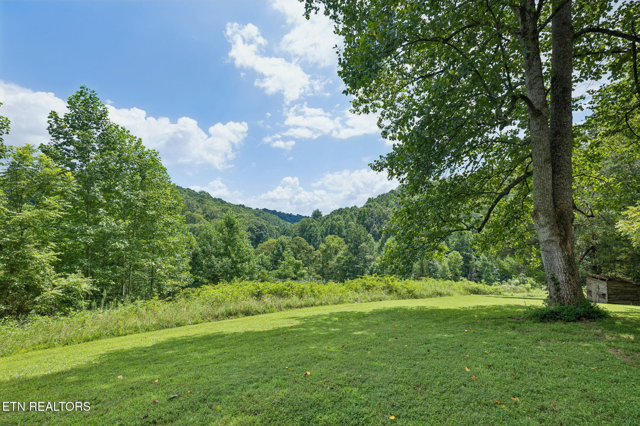 575 Russell Road Sharps Chapel, TN 37866 - Photo 34 of 60 575 Russell Rd Sharps Chapel Norris Lake
