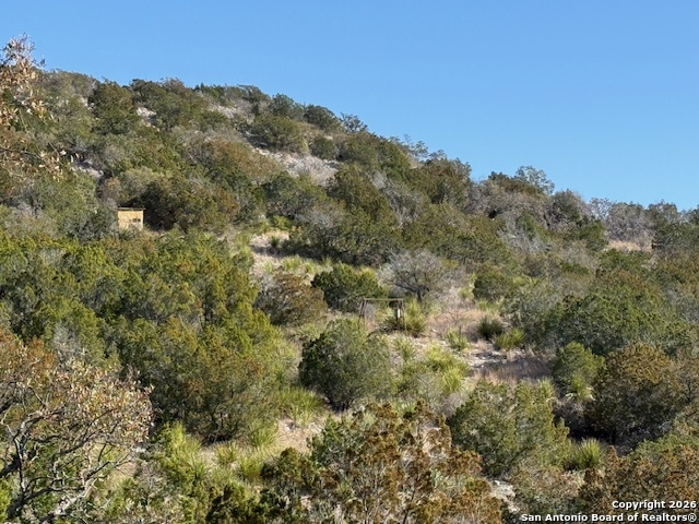 Sd 630 Cr 630 Rocksprings, TX 78880 - Photo 13 of 33 a view of a forest with a mountain in the background
