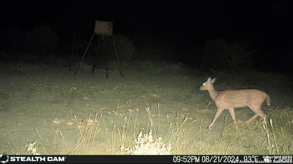 Sd63015 Cr 630 Rocksprings, TX 78880 - Photo 14 of 35