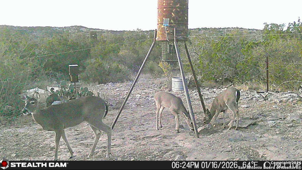 Sd63015 Cr 630 Rocksprings, TX 78880 - Photo 17 of 35