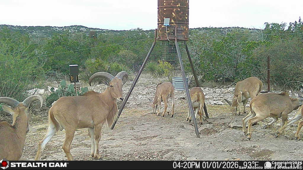 Sd63015 Cr 630 Rocksprings, TX 78880 - Photo 19 of 35