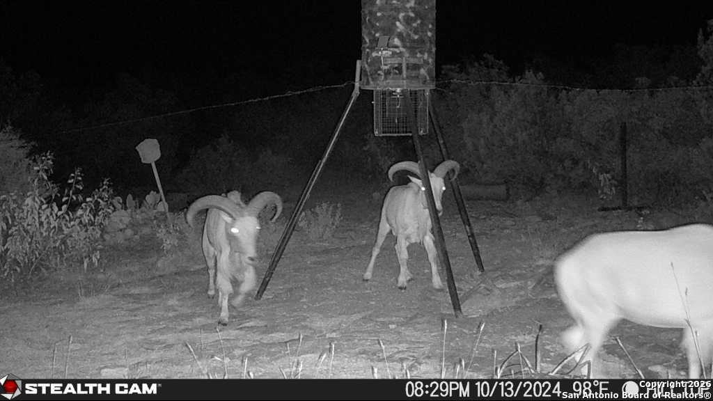 Sd 630 Cr 630 Rocksprings, TX 78880 - Photo 21 of 34