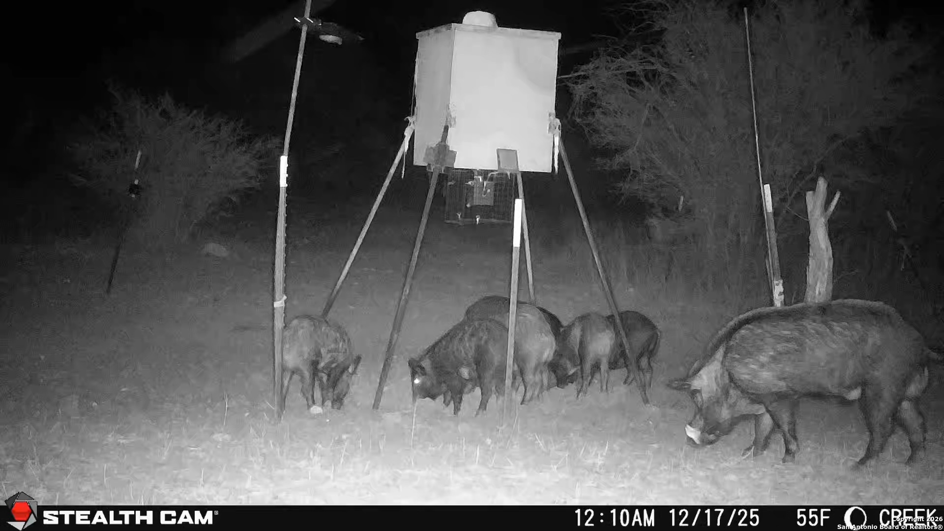 Sd63015 Cr 630 Rocksprings, TX 78880 - Photo 25 of 35