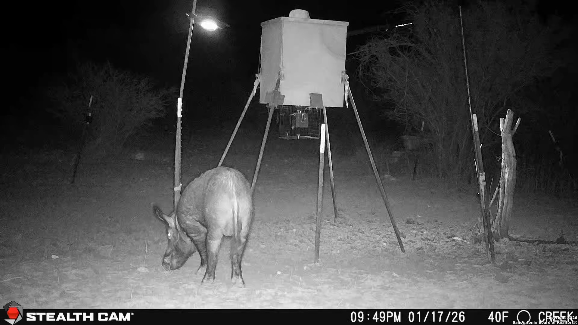 Sd63015 Cr 630 Rocksprings, TX 78880 - Photo 26 of 35