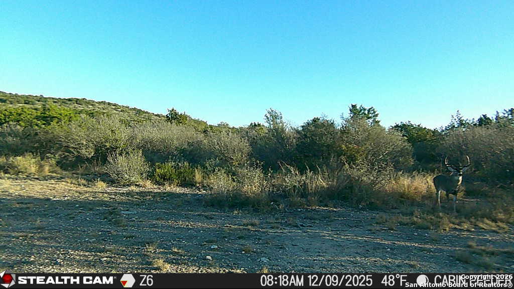 Sd 630 Cr 630 Rocksprings, TX 78880 - Photo 28 of 33 a view of outdoor space and yard