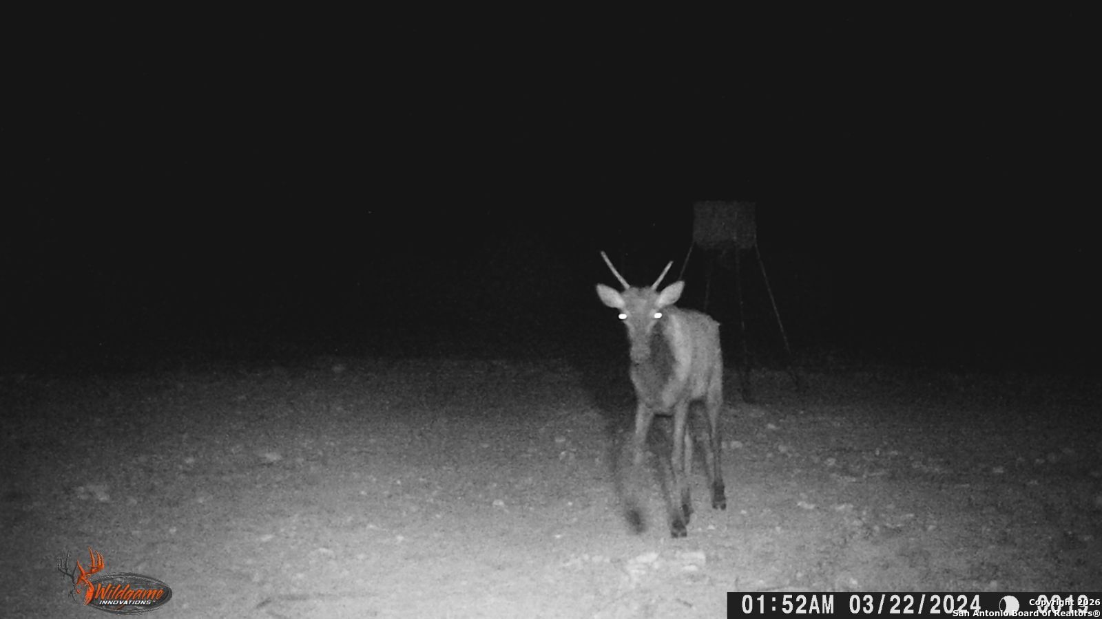 Sd63015 Cr 630 Rocksprings, TX 78880 - Photo 29 of 35