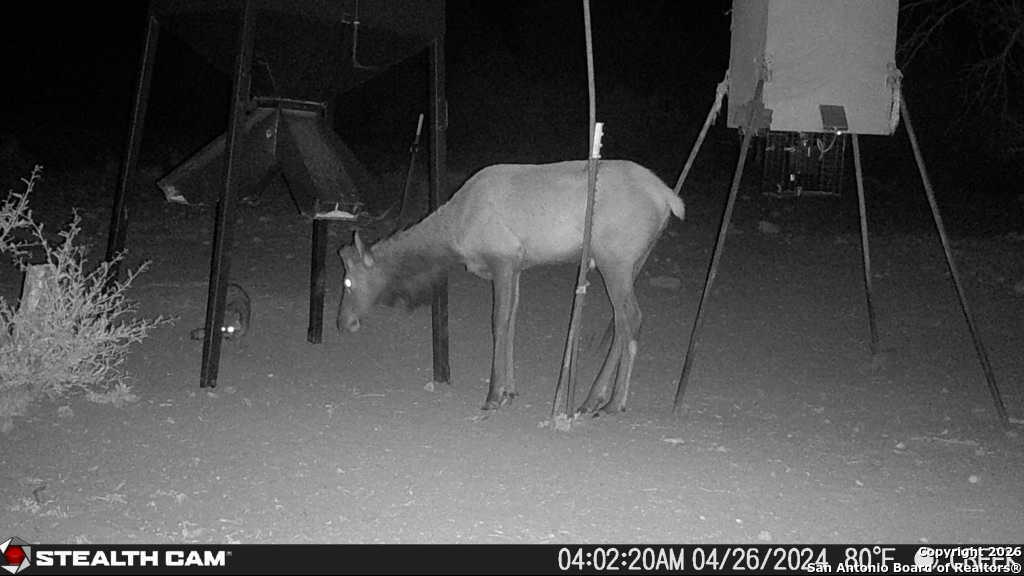 Sd63015 Cr 630 Rocksprings, TX 78880 - Photo 30 of 35