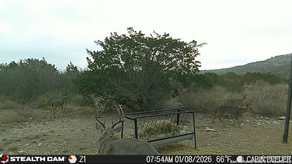 Sd 630 Cr 630 Rocksprings, TX 78880 - Photo 32 of 33 a view of outdoor space