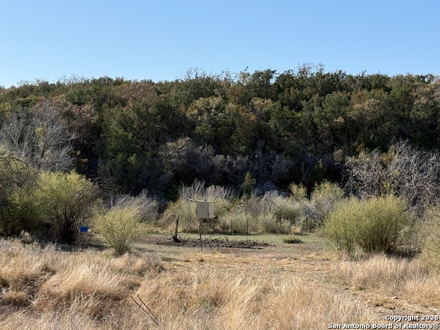 Sd 630 Cr 630 Rocksprings, TX 78880 - Photo 5 of 33 a view of a dry yard with trees