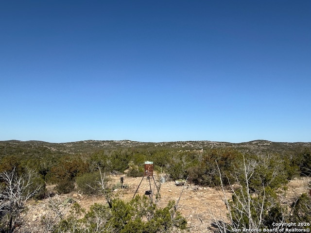Sd 630 Cr 630 Rocksprings, TX 78880 - Photo 8 of 34