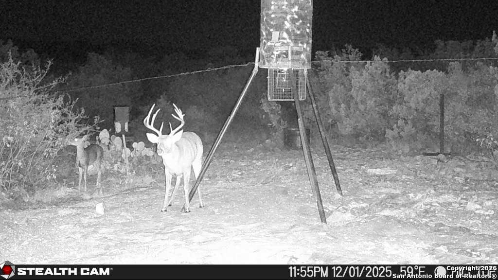 Sd 630 Cr 630 Rocksprings, TX 78880 - Photo 10 of 34