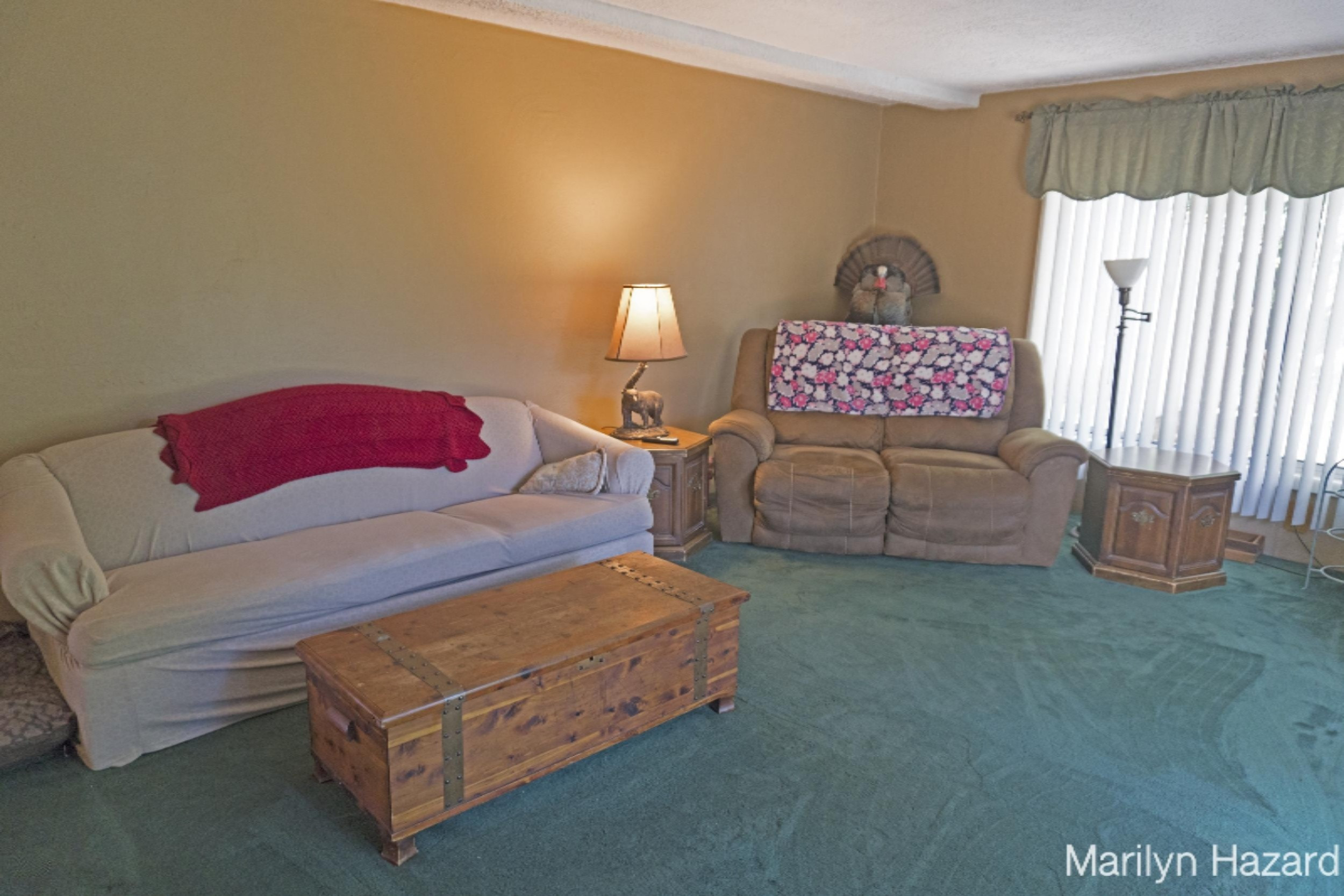 4698 Monroe Road Greenville, MI 48838 - Photo 11 of 45 DSC03192