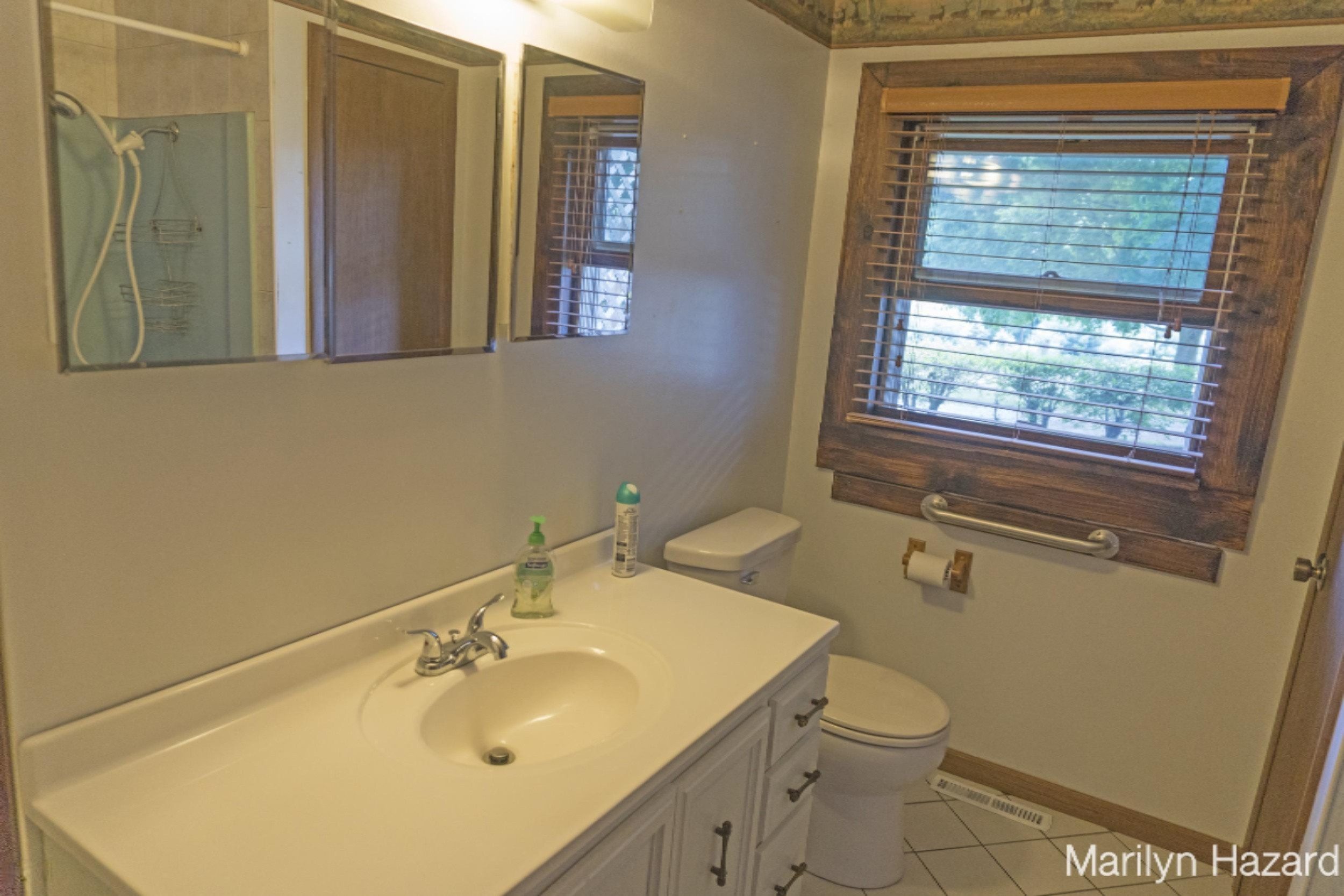 4698 Monroe Road Greenville, MI 48838 - Photo 14 of 45 DSC03200