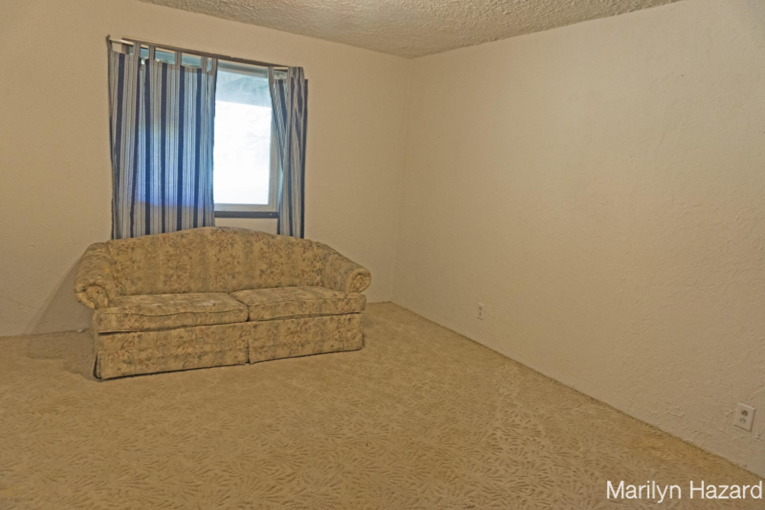 4698 Monroe Road Greenville, MI 48838 - Photo 22 of 45 DSC03213
