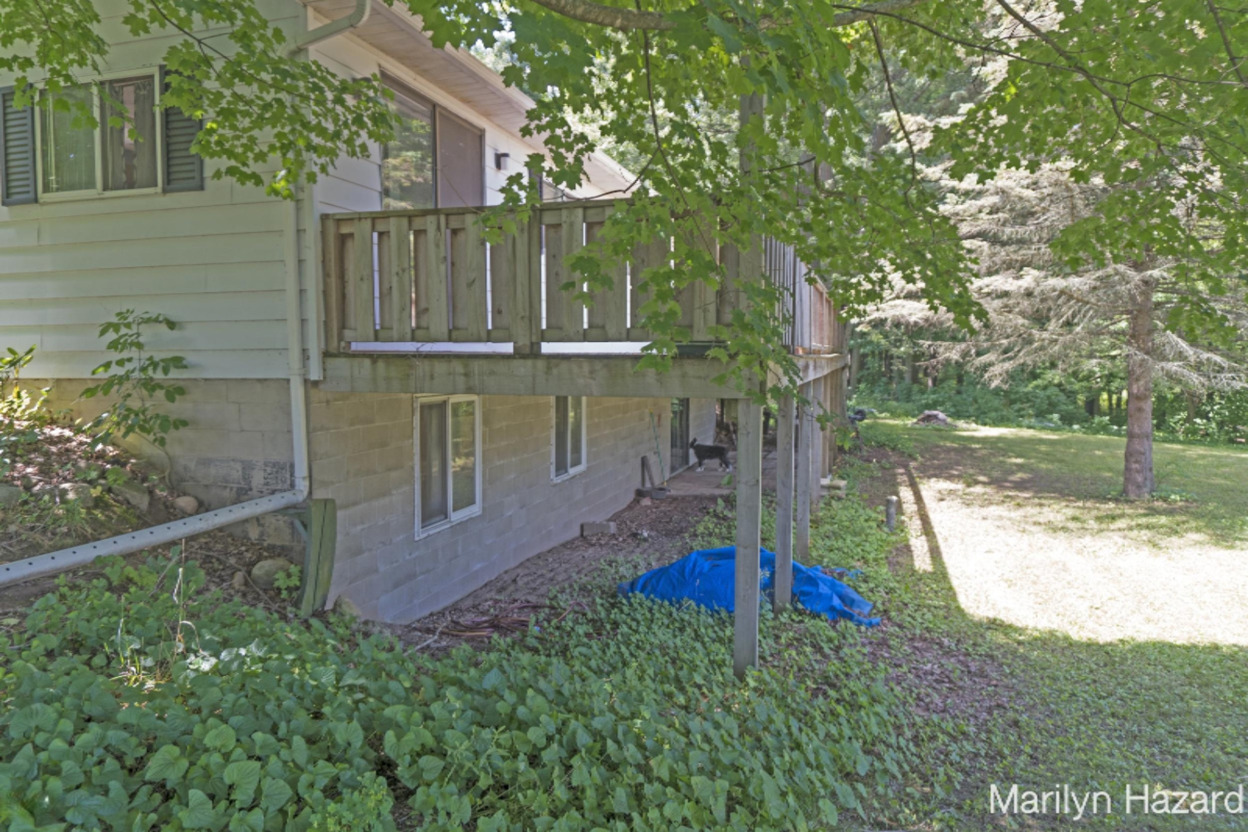 4698 Monroe Road Greenville, MI 48838 - Photo 23 of 45 DSC03177