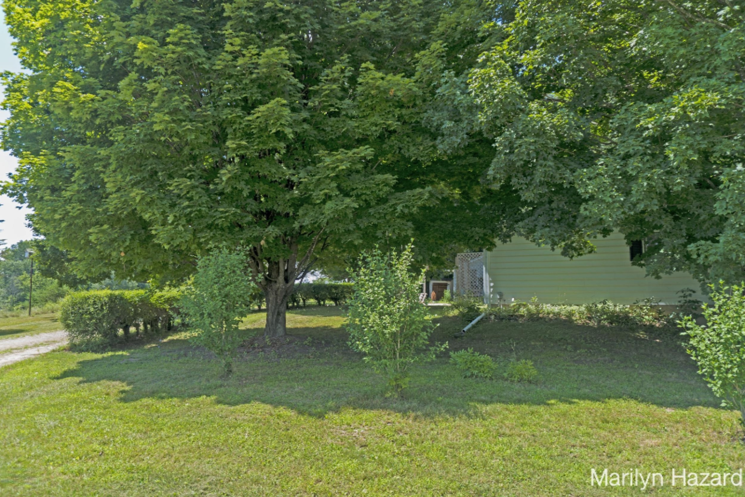 4698 Monroe Road Greenville, MI 48838 - Photo 27 of 45 DSC03156