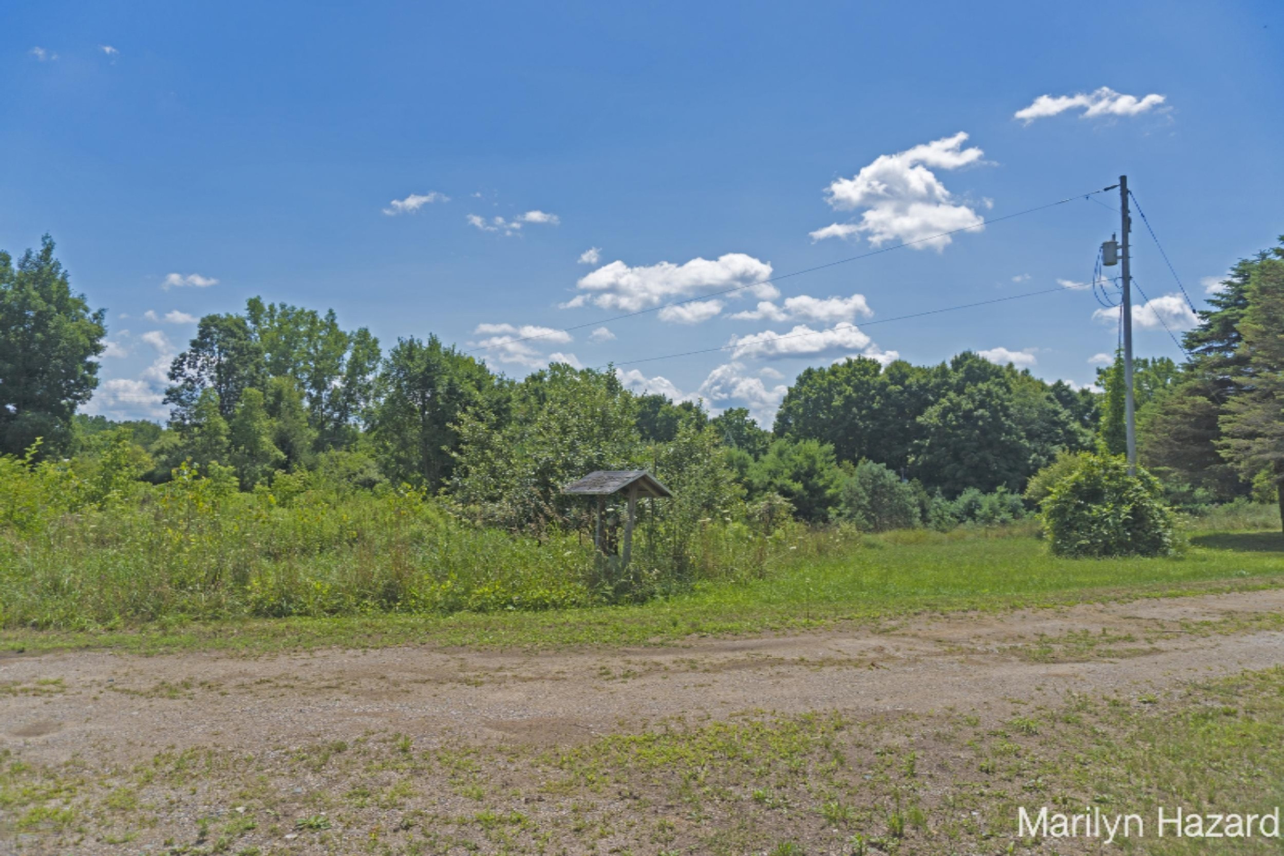 4698 Monroe Road Greenville, MI 48838 - Photo 28 of 45 DSC03157