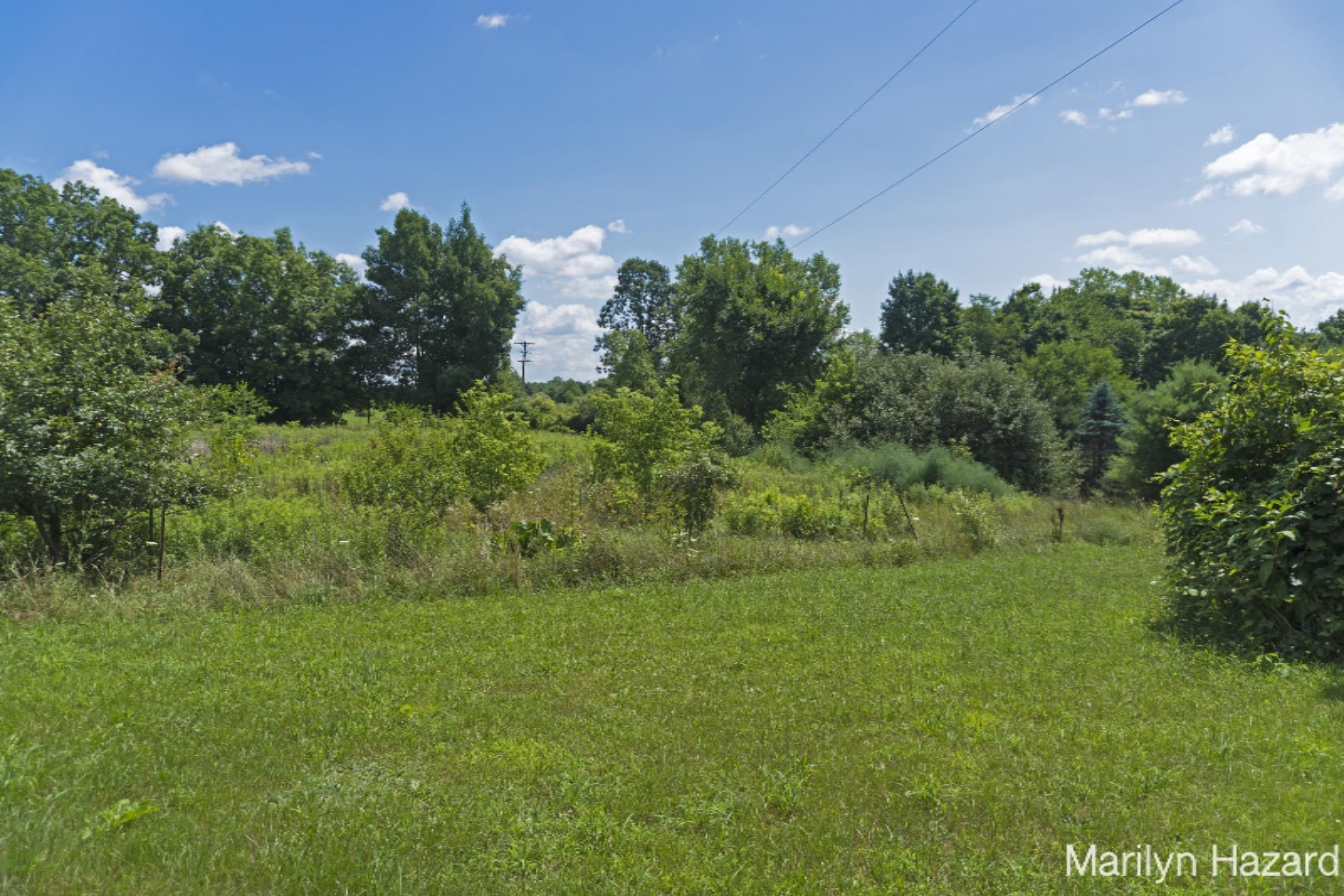 4698 Monroe Road Greenville, MI 48838 - Photo 29 of 45 DSC03158