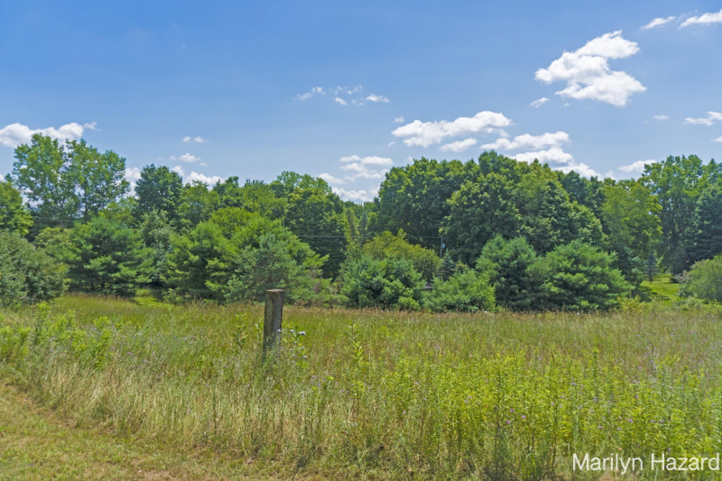 4698 Monroe Road Greenville, MI 48838 - Photo 30 of 45 DSC03159