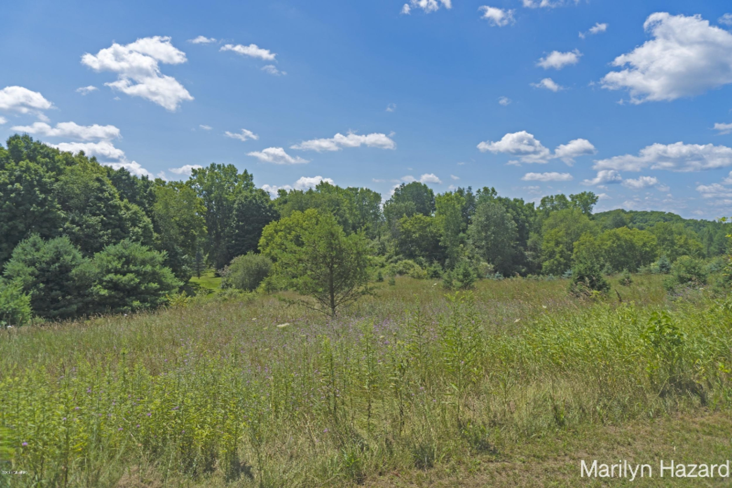4698 Monroe Road Greenville, MI 48838 - Photo 31 of 45 DSC03160