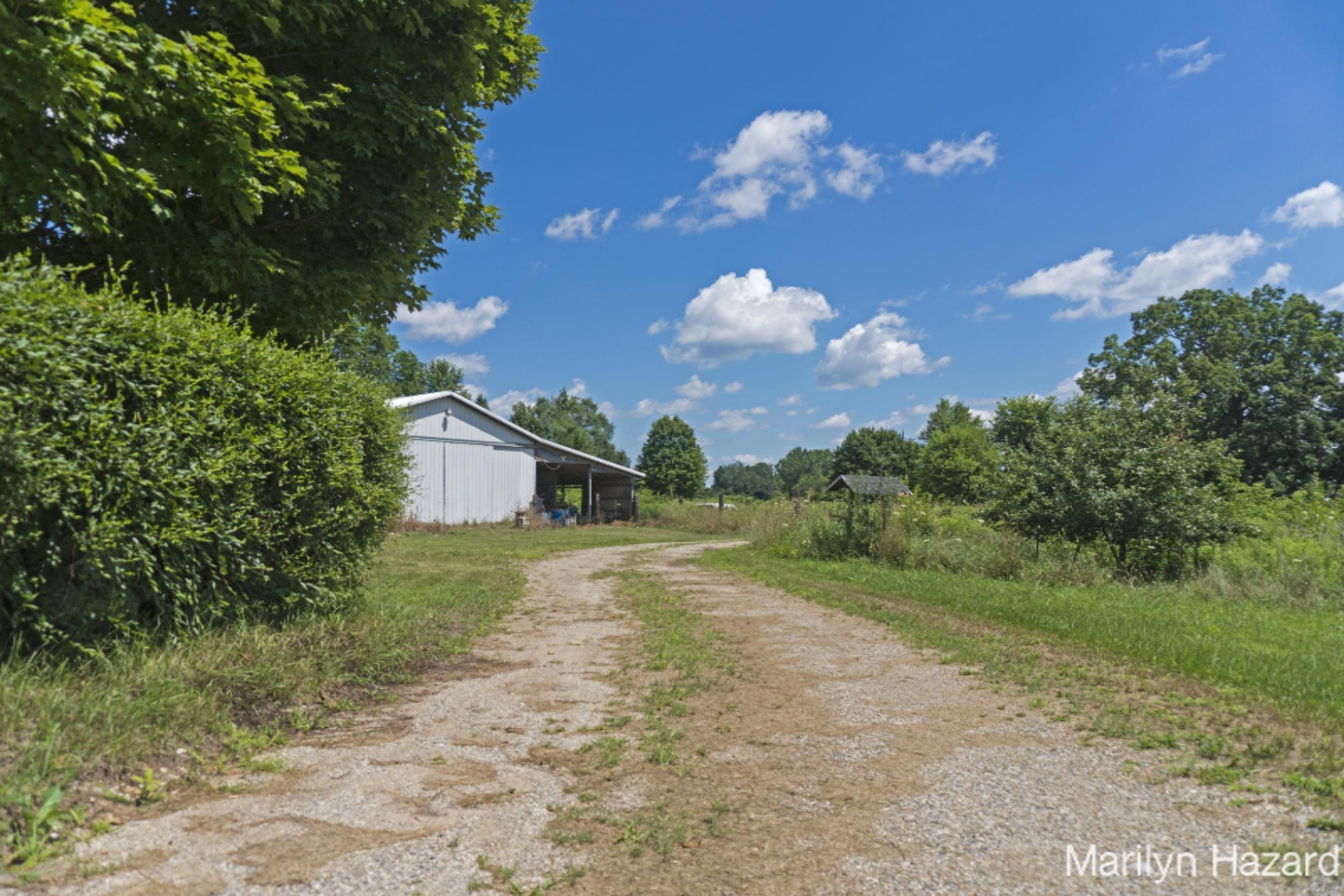 4698 Monroe Road Greenville, MI 48838 - Photo 34 of 45 DSC03165