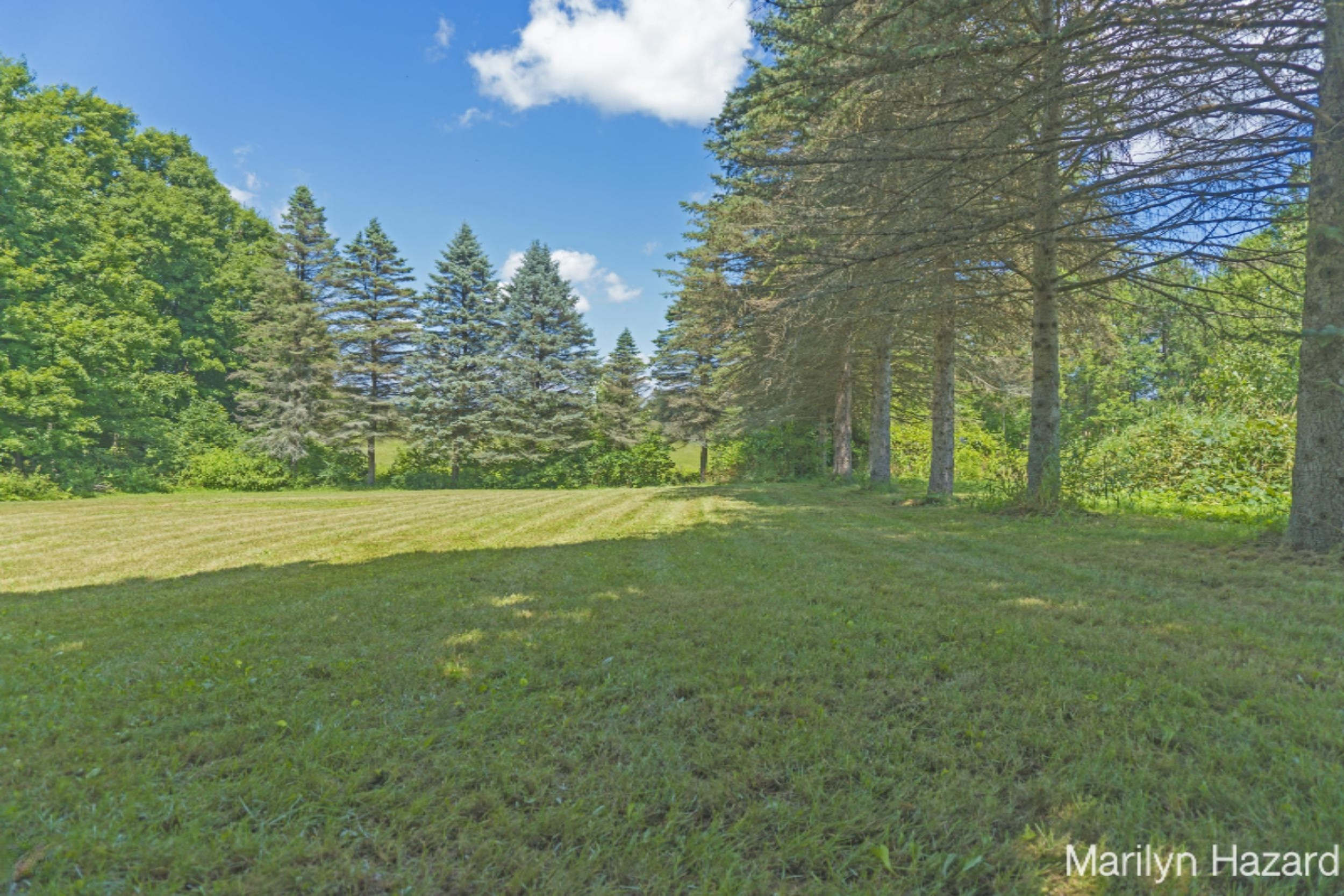 4698 Monroe Road Greenville, MI 48838 - Photo 35 of 45 DSC03168