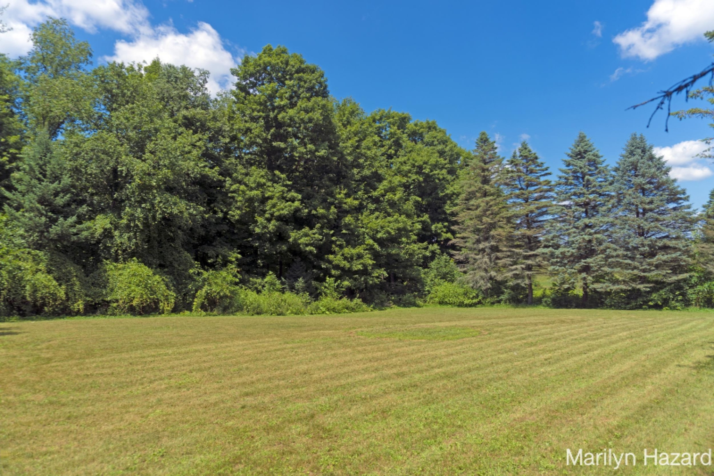 4698 Monroe Road Greenville, MI 48838 - Photo 36 of 45 DSC03169