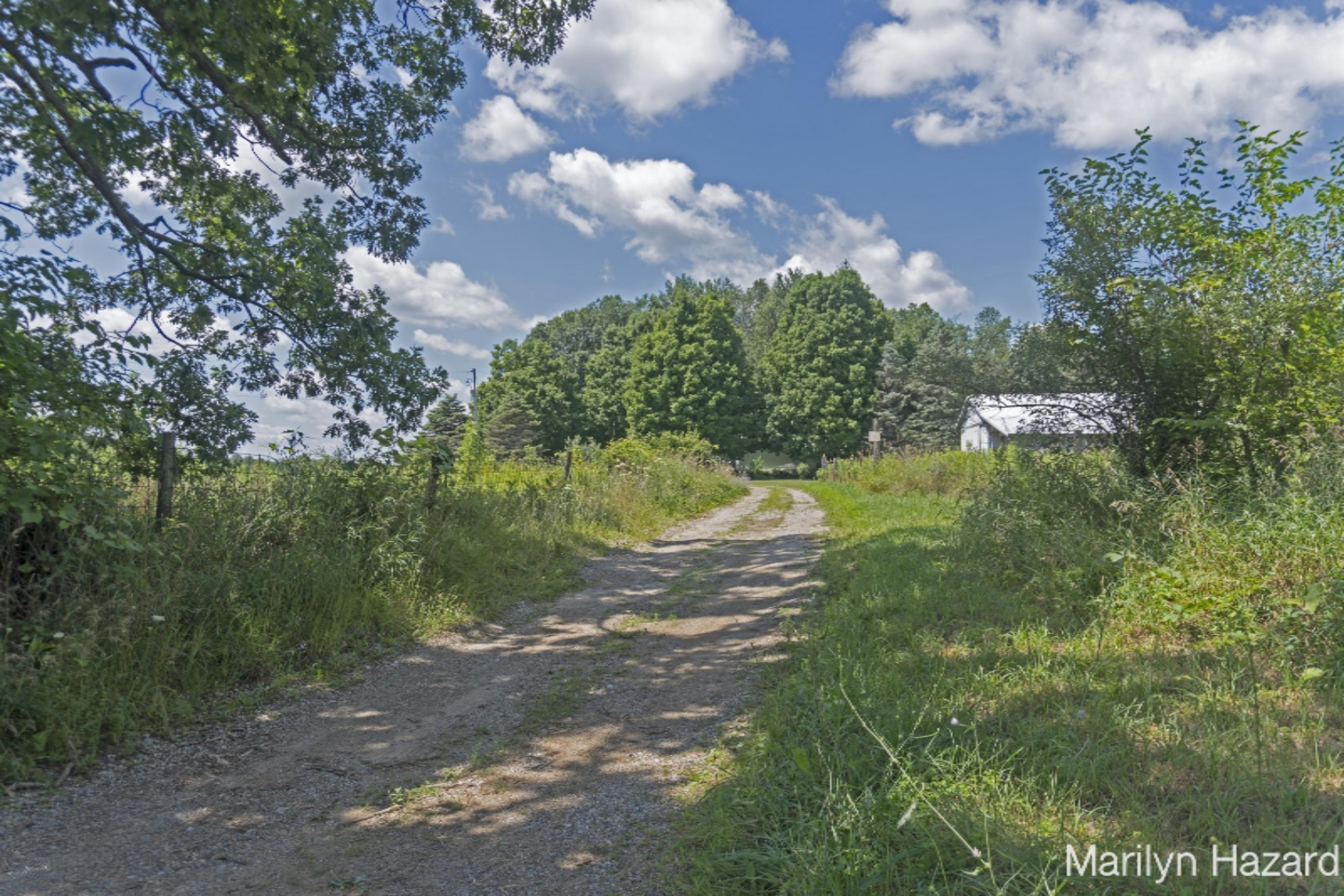 4698 Monroe Road Greenville, MI 48838 - Photo 37 of 45 DSC03144