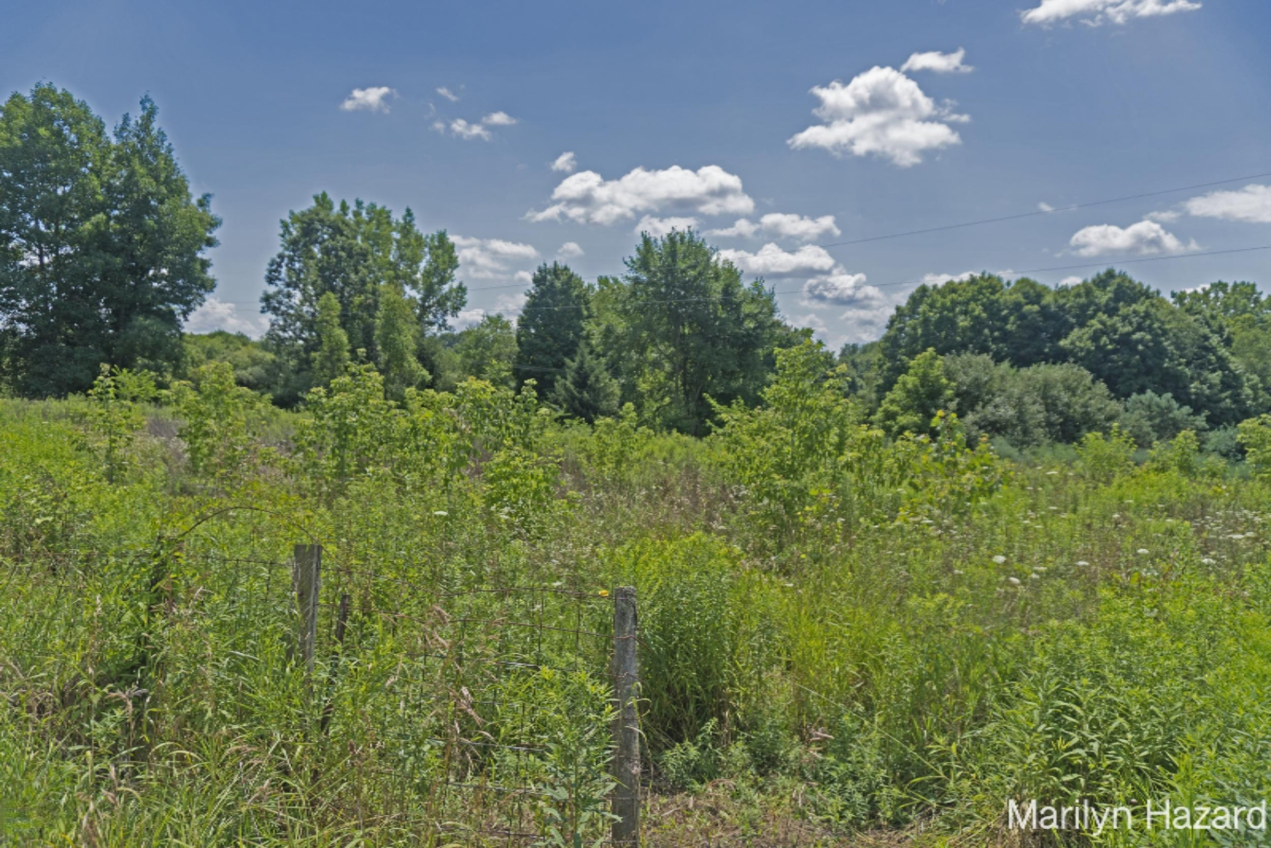 4698 Monroe Road Greenville, MI 48838 - Photo 38 of 45 DSC03152