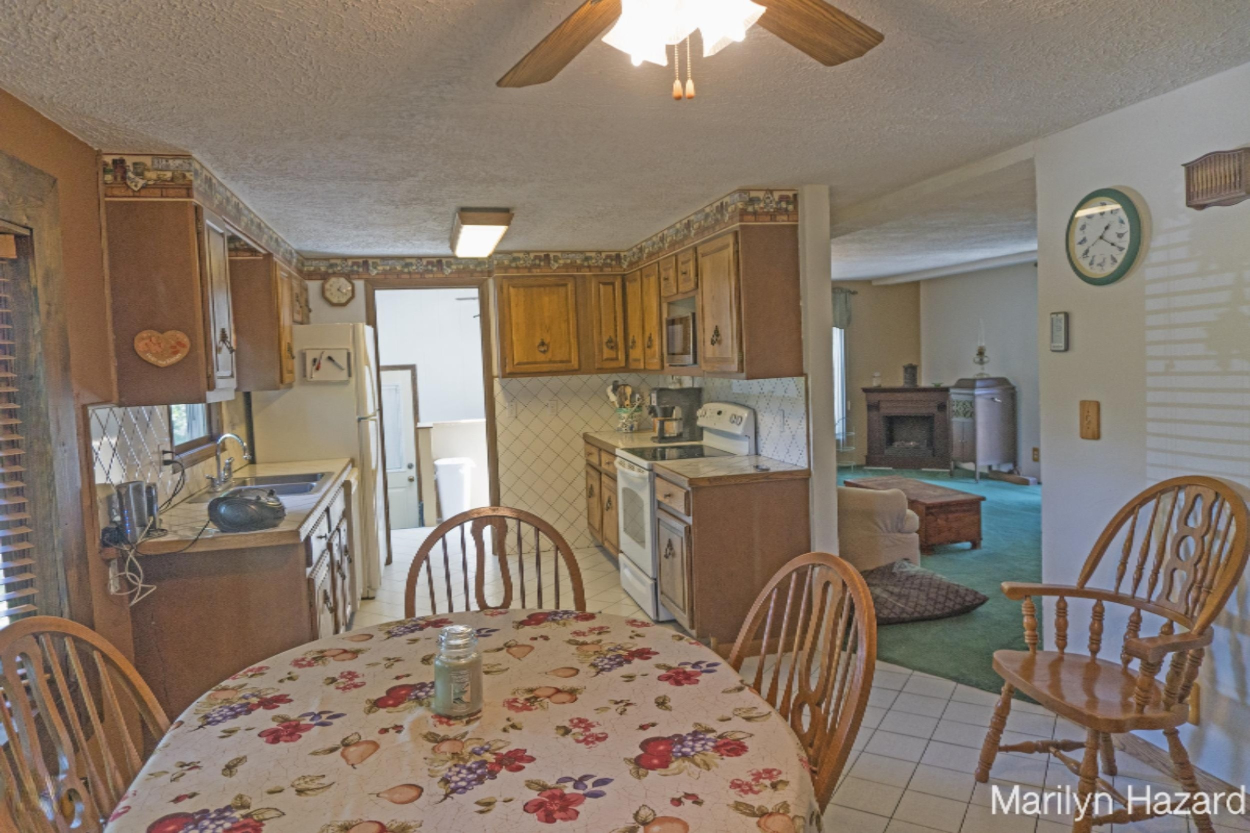 4698 Monroe Road Greenville, MI 48838 - Photo 4 of 45 DSC03183