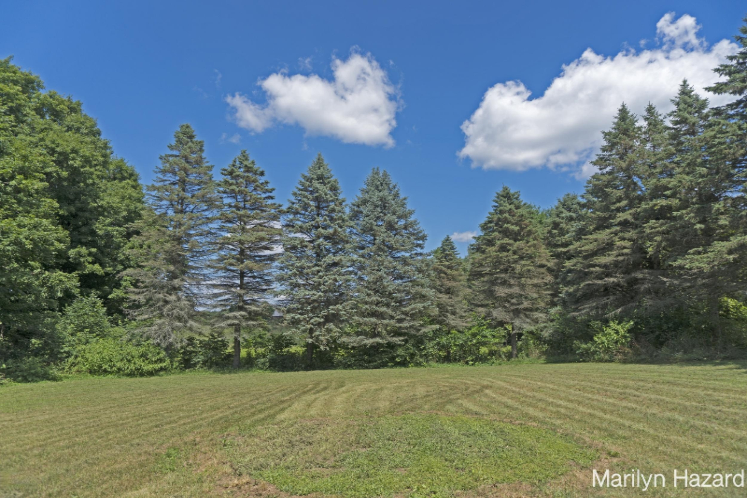 4698 Monroe Road Greenville, MI 48838 - Photo 41 of 45 DSC03174