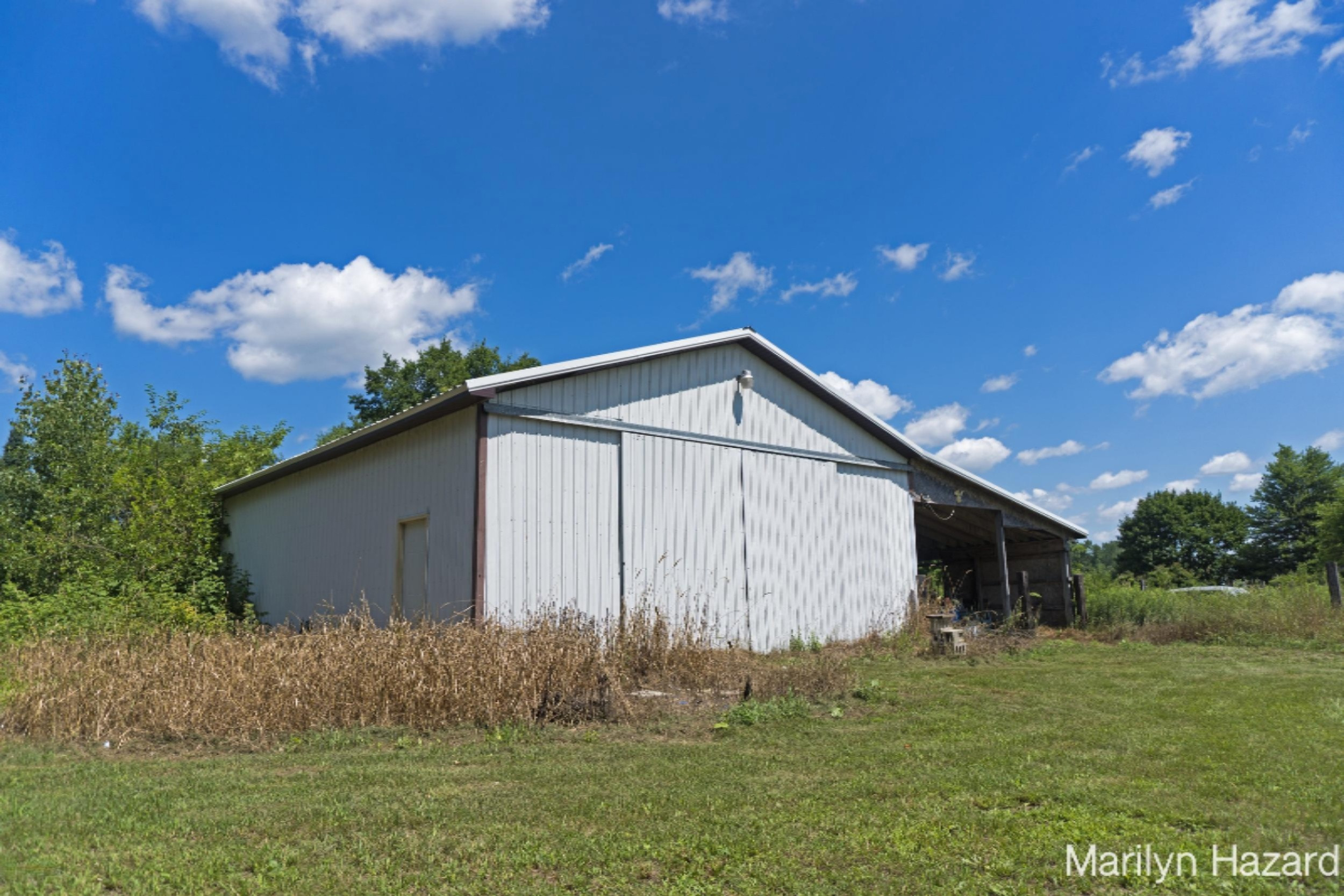4698 Monroe Road Greenville, MI 48838 - Photo 43 of 45 DSC03154
