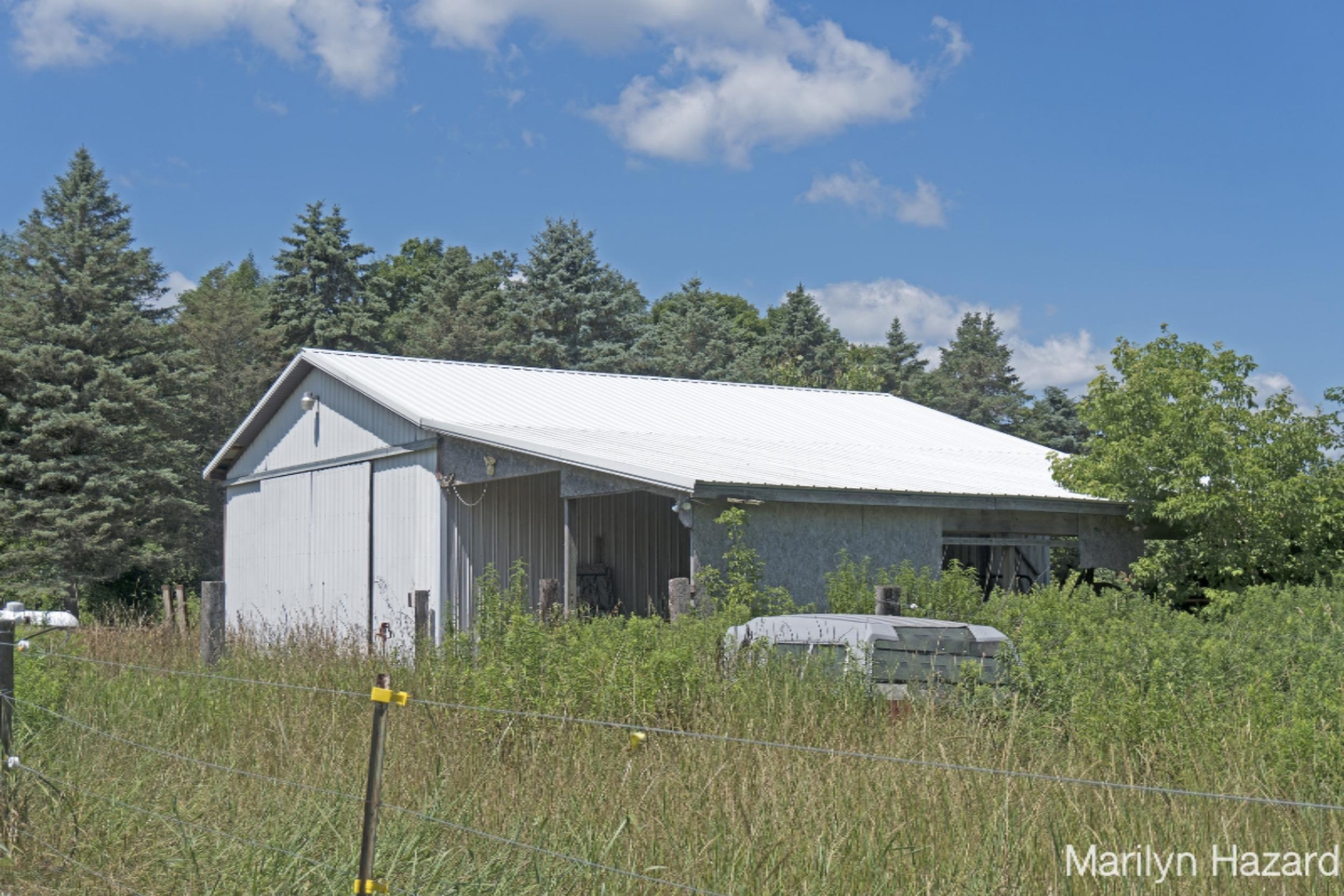 4698 Monroe Road Greenville, MI 48838 - Photo 44 of 45 DSC03150