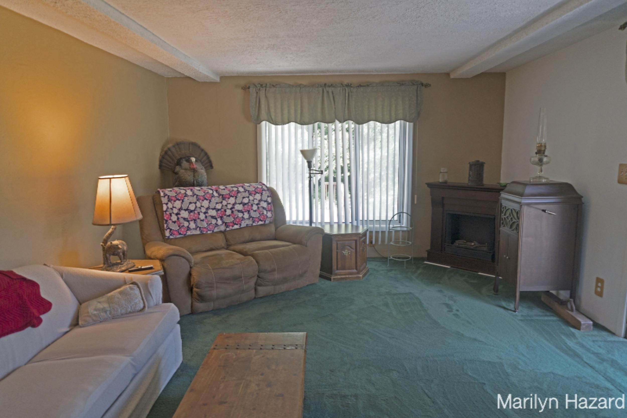 4698 Monroe Road Greenville, MI 48838 - Photo 9 of 45 DSC03187