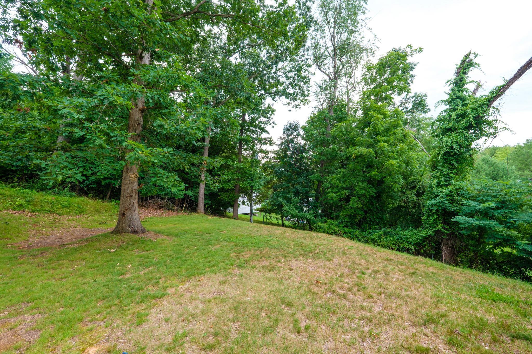 45 Morris Mill Road Staunton, VA 24401 - Photo 35 of 45