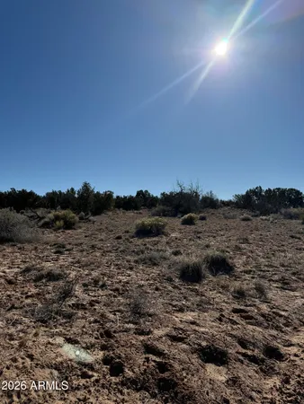 $39,999 | 1 N6549, Unit 794, St. Johns, AZ 85936